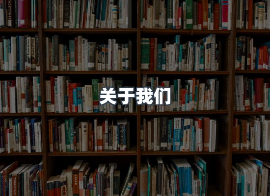 专业团队